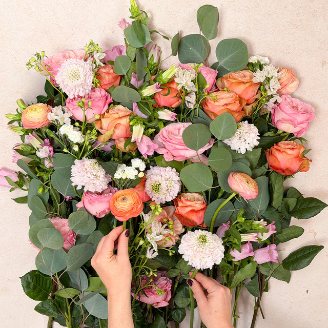 The XO DIY - Image 5