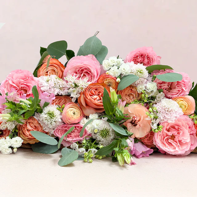 The XO DIY - Image 2