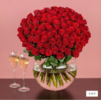 100 Red Roses