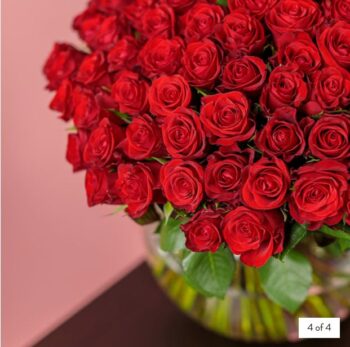 100 Red Roses