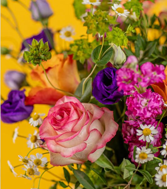 Floral Garden - Image 5