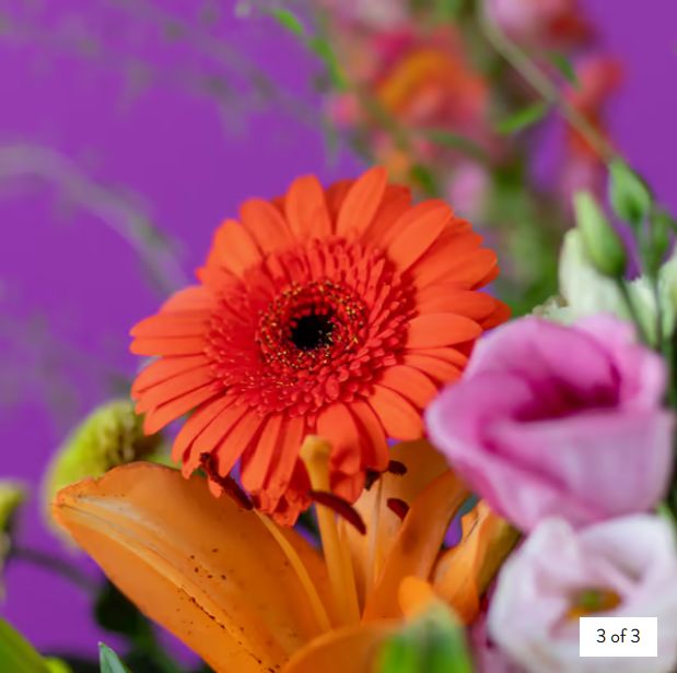 Floral Flame - Image 3