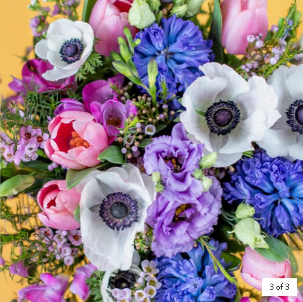 Moment of Joy - Image 3