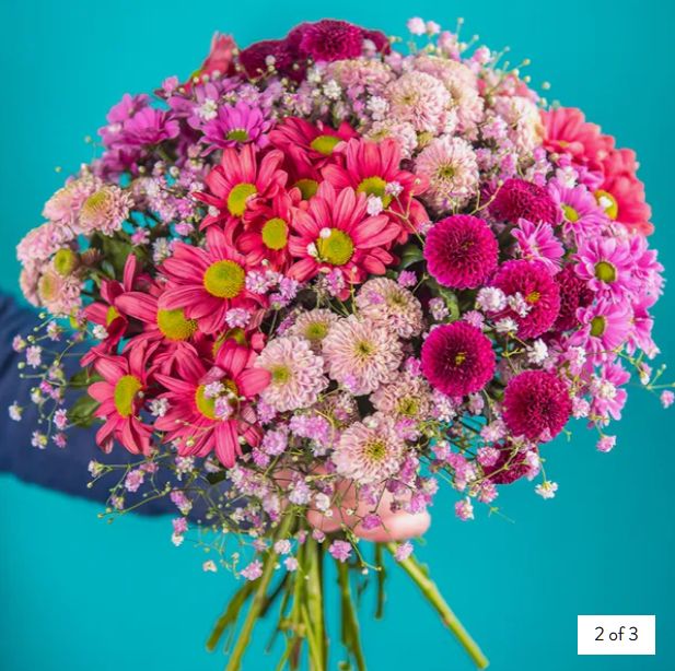 Playful Blooms - Image 2