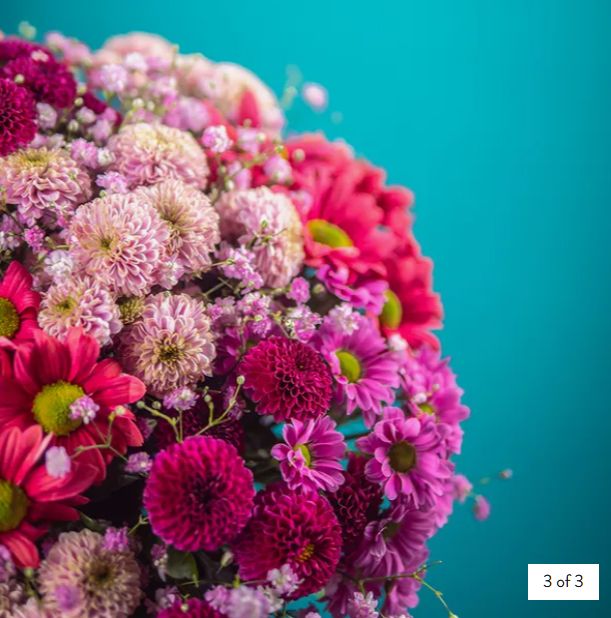 Playful Blooms - Image 3